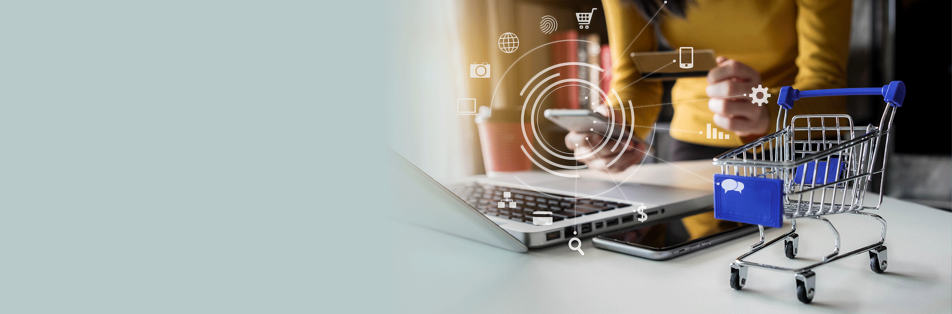 Shopify Banner